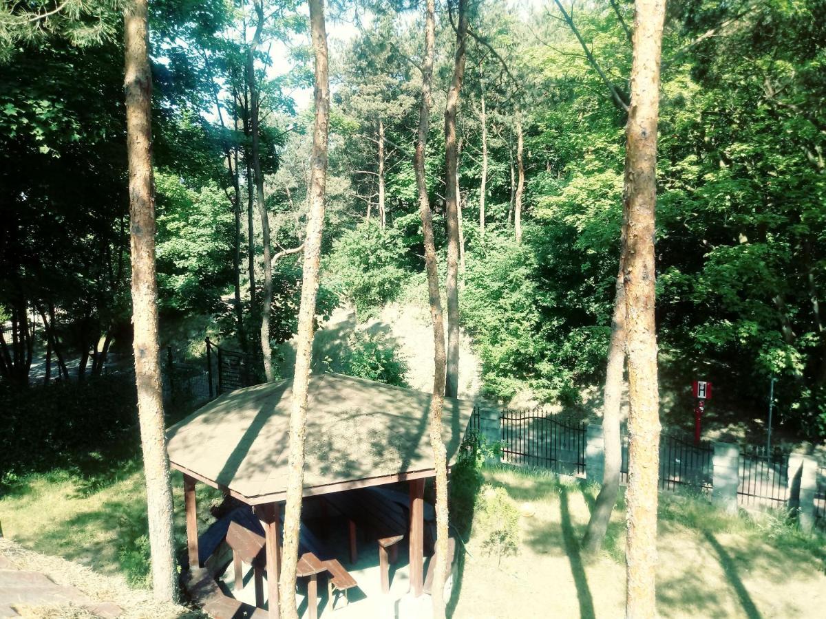Dom Na Wzgórzu *